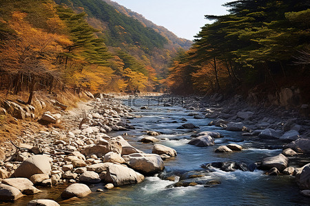 一条河从岩石山上流下来