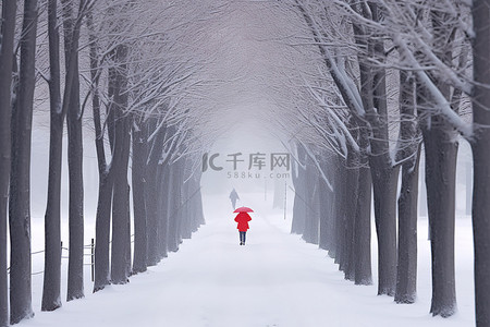 一个人走在白雪皑皑的绿树成荫的小路上