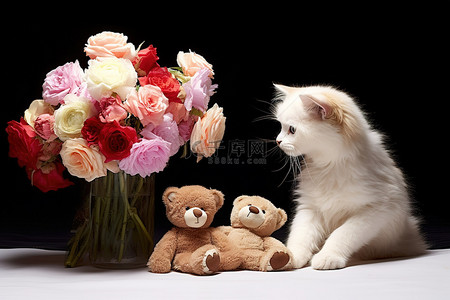 猫一边看着五颜六色的花朵，一边被一只白色泰迪熊拥抱，花束里有粉色和白色的花朵