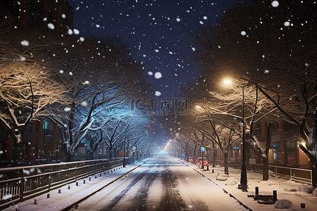 夜晚的城市，街道上树木和雪纷纷落下