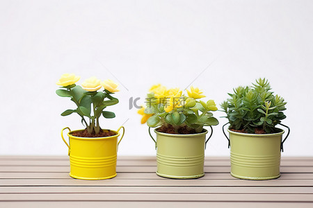 水桶背景图片_色彩鲜艳的水桶与植物