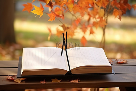 书背景图片_打开在秋叶旁边的木桌上的书