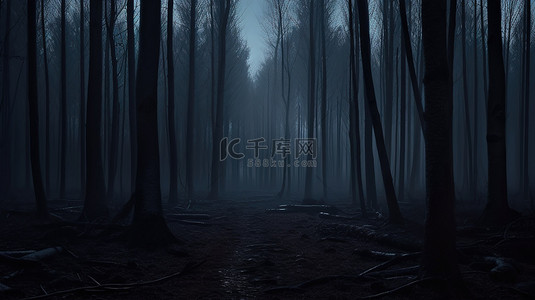 优美的环境背景图片_雾蒙蒙的夜晚林地的插图，以 3D 形式呈现令人毛骨悚然的阴暗树干