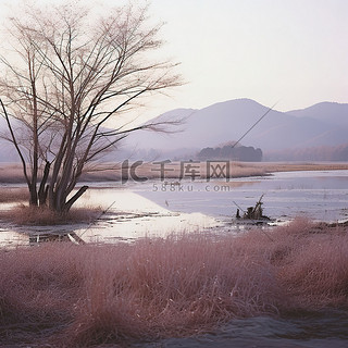 风景背景图片_有树的风景