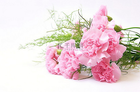 这是一束粉红色康乃馨和满天星的粉红色花束