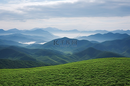 绿色田野背景图片_从高山拍摄的照片是被群山包围的大片绿色田野