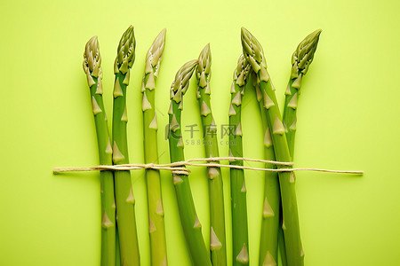 素食健康背景图片_亮绿色背景中的绿芦笋