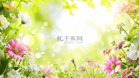 五颜六色花艺边框造型背景17