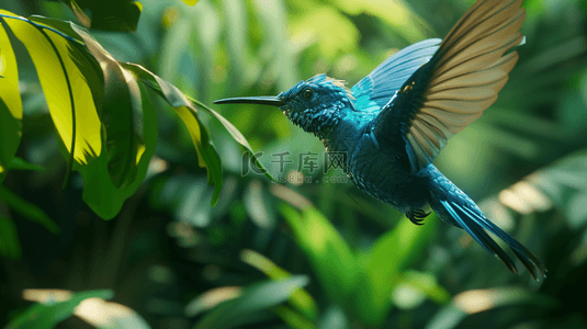 线条飞虫背景图片_飞向枝头的蓝色鸟儿背景12