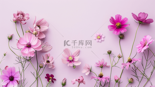 紫色女神节花朵唯美简约平铺的背景15