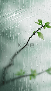 雨珠背景图片_长虹玻璃质感背景里的绿色枝条雨珠