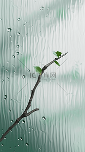 长虹玻璃质感背景里的绿色枝条雨珠