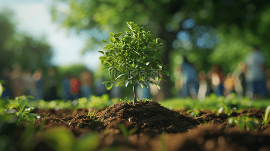 绿色春季树木背景图片_春季栽种植物绿色背景3