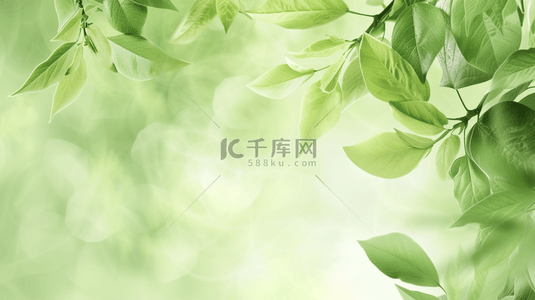 劳动节背景图片_春季绿色树叶清新背景5