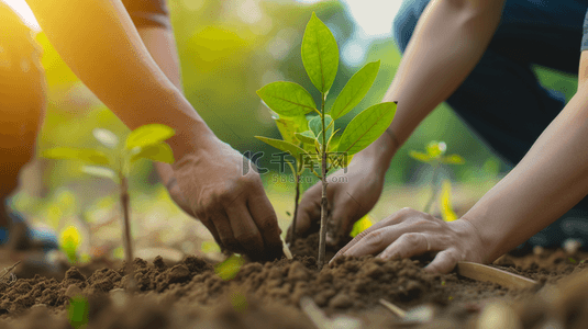 植树背景图片_植树节团队合作植树活动背景5