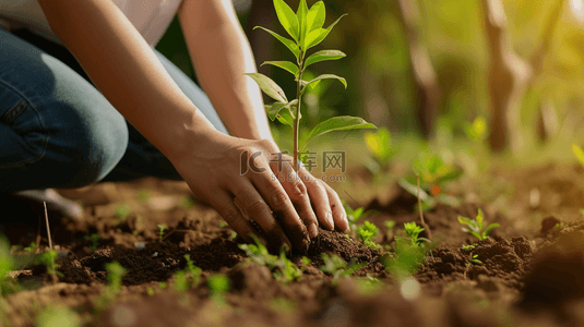 植树节背景图片_植树节团队合作植树活动背景14