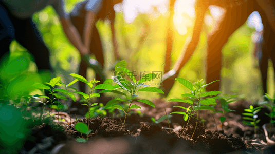 环保背景图片_植树节团队合作植树活动背景7