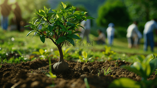 植树节背景图片_春季栽种植物绿色背景2