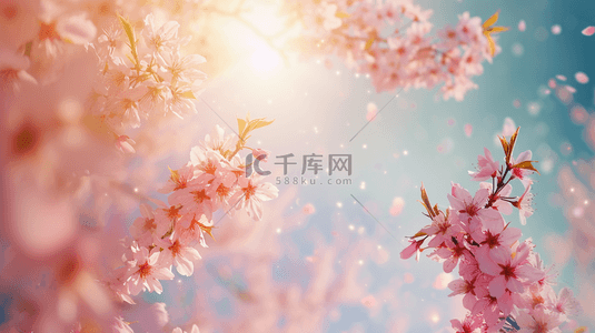 风中的花瓣背景图片_春季桃花盛开浪漫唯美背景6