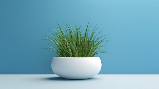 绿草地鲜花背景图片_陶瓷花盆充满了郁郁葱葱的草，在美丽的蓝色背景下 3D 渲染