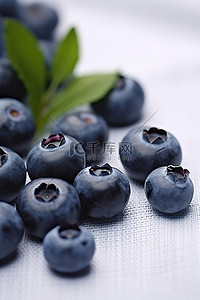白色织物背景上的一些蓝莓，带叶子