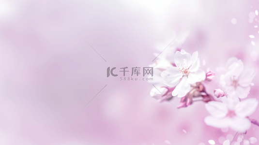 紫色清新春天花朵虚化朦胧花影光影背景素材