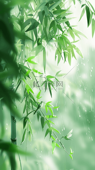 背景图片_春和景明清明节雨中竹叶春景背景素材
