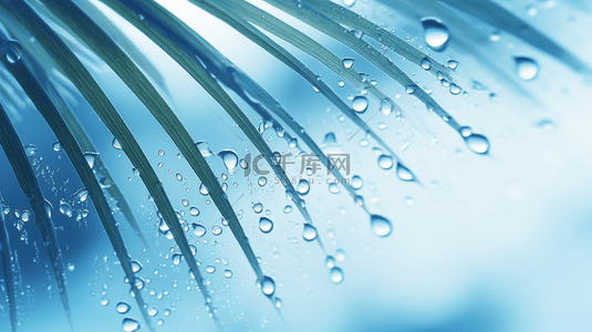 雨珠背景图片_清新浅蓝色棕榈叶雨珠背景