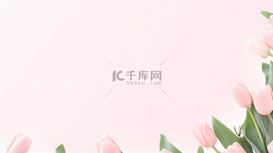 粉红色郁金香花框架图片