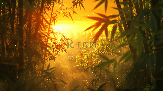 森林背景图片_春天阳光下森林竹林里树叶纹理的背景3