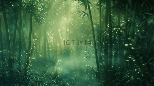 森林背景图片_春天阳光下森林竹林里树叶纹理的背景16