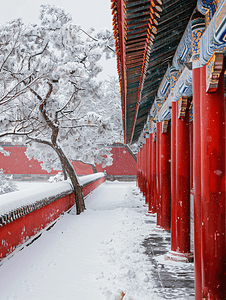 中式背景摄影照片_北京故宫红墙琉璃瓦雪景