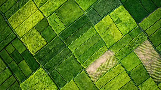 方块摄影照片_绿色俯视田地纹理的摄影5照片