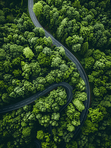 航拍蜿蜒道路与森林