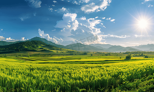 全景天空摄影照片_农田全景风光