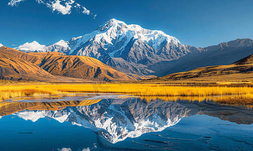 贡嘎日照金山摄影照片_贡嘎雪山金色阳光美景