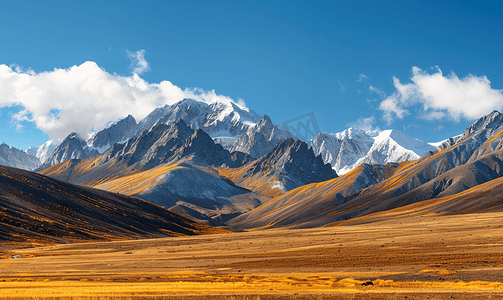 贡嘎雪山金色阳光美景