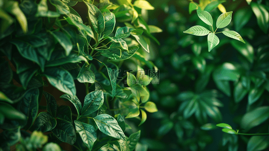 绿色植物装饰纹理背景19