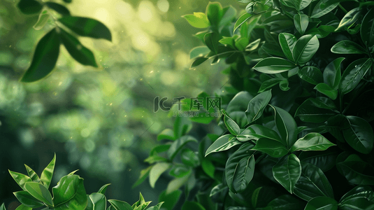 绿色植物背景纹理背景图片_绿色植物装饰纹理背景2