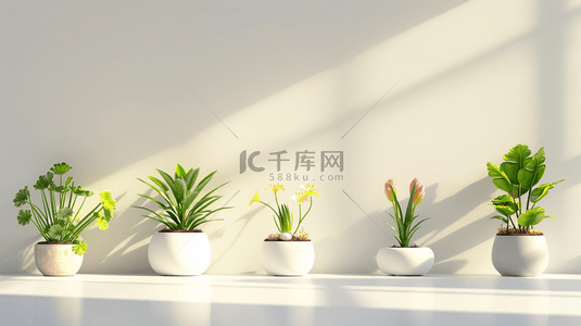 白色室内空间花盆绿植的背景10