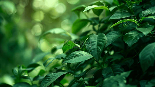 绿色植物装饰纹理背景15