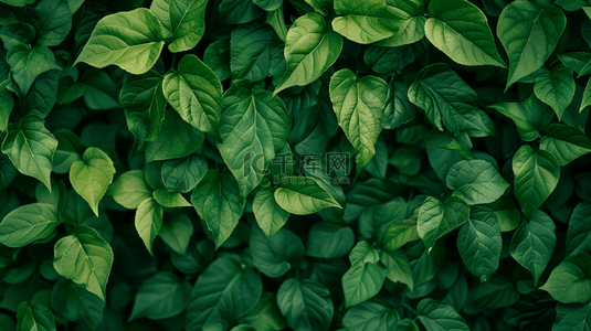 绿色植物装饰纹理背景12
