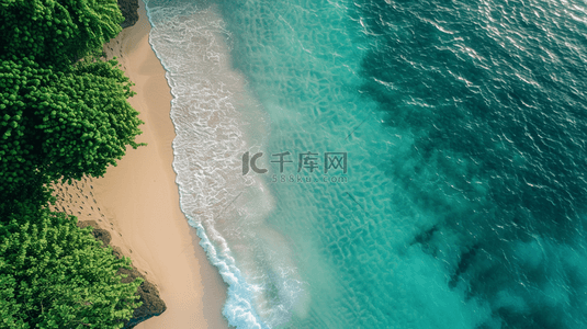 大海沙滩背景图片_航拍大海沙滩树木的背景4