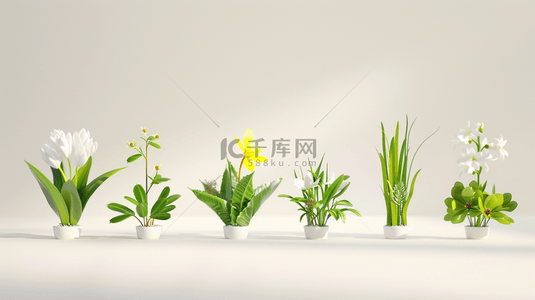 空间摆放背景图片_白色室内空间花盆绿植的背景3