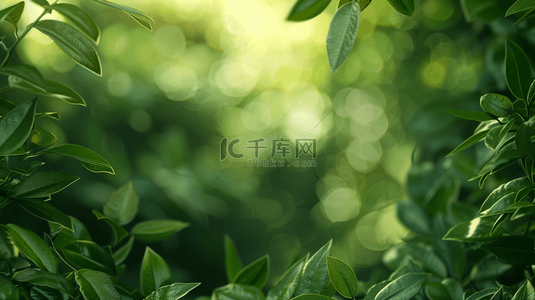 绿色植物背景纹理背景图片_绿色植物装饰纹理背景13