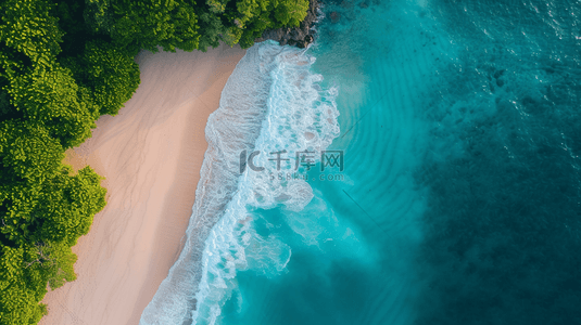 航拍大海沙滩树木的背景12