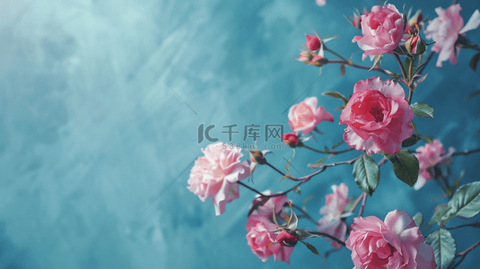 小清新粉色花朵背景图片_粉色花朵植物装饰小清新背景12