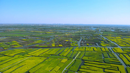 美丽乡村风景摄影照片_航拍美丽乡村油菜花垛田自然风景