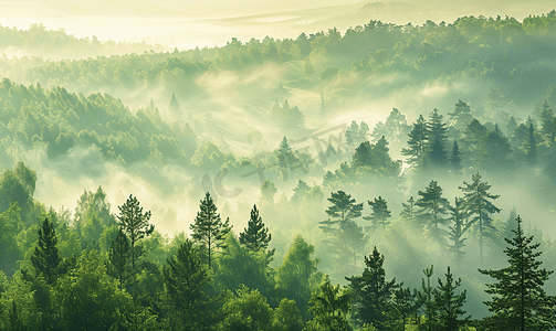摄影照片_雾中的山林清晨