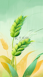 万物背景背景图片_春天春雨谷雨节气麦穗背景